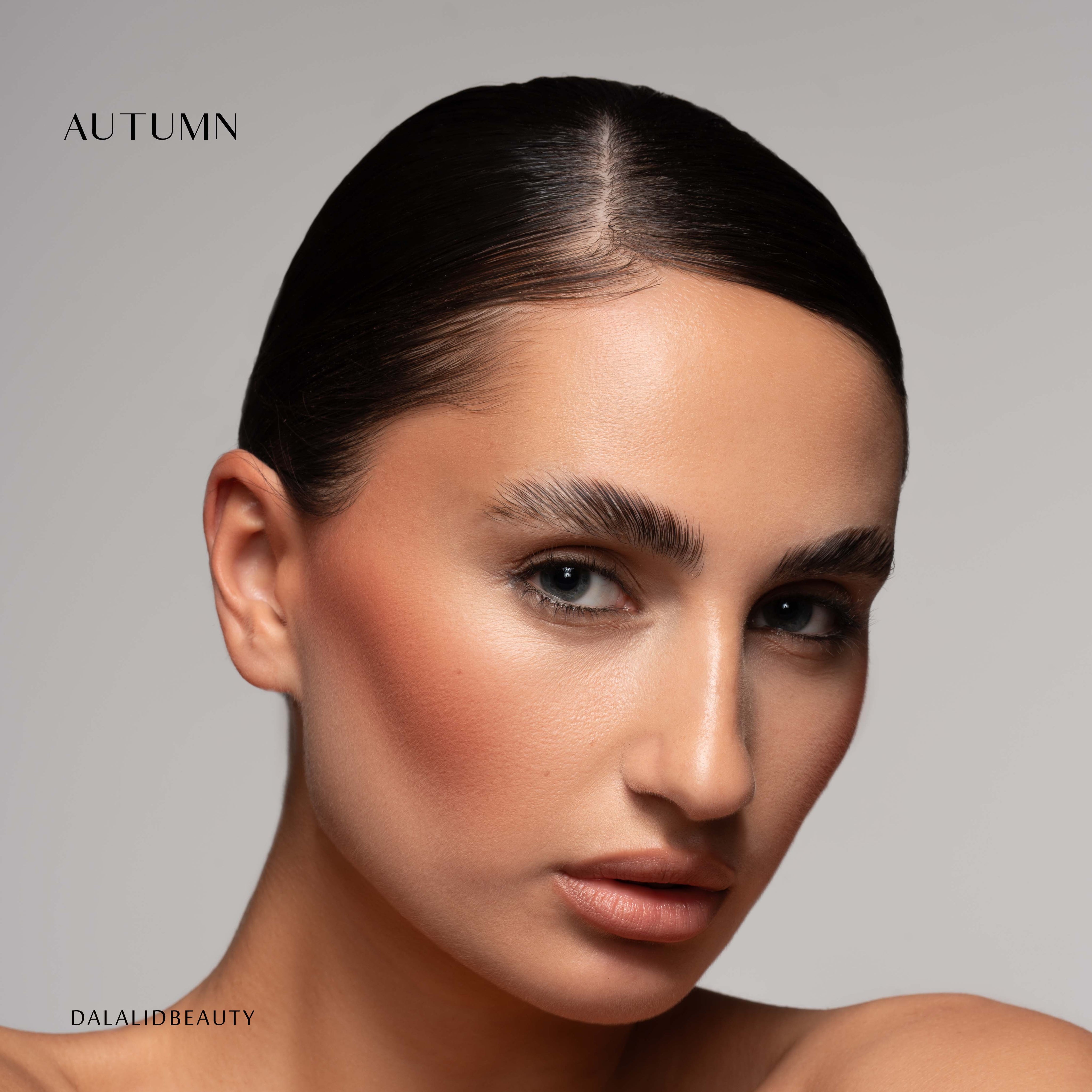 Velvet Matte Blushers