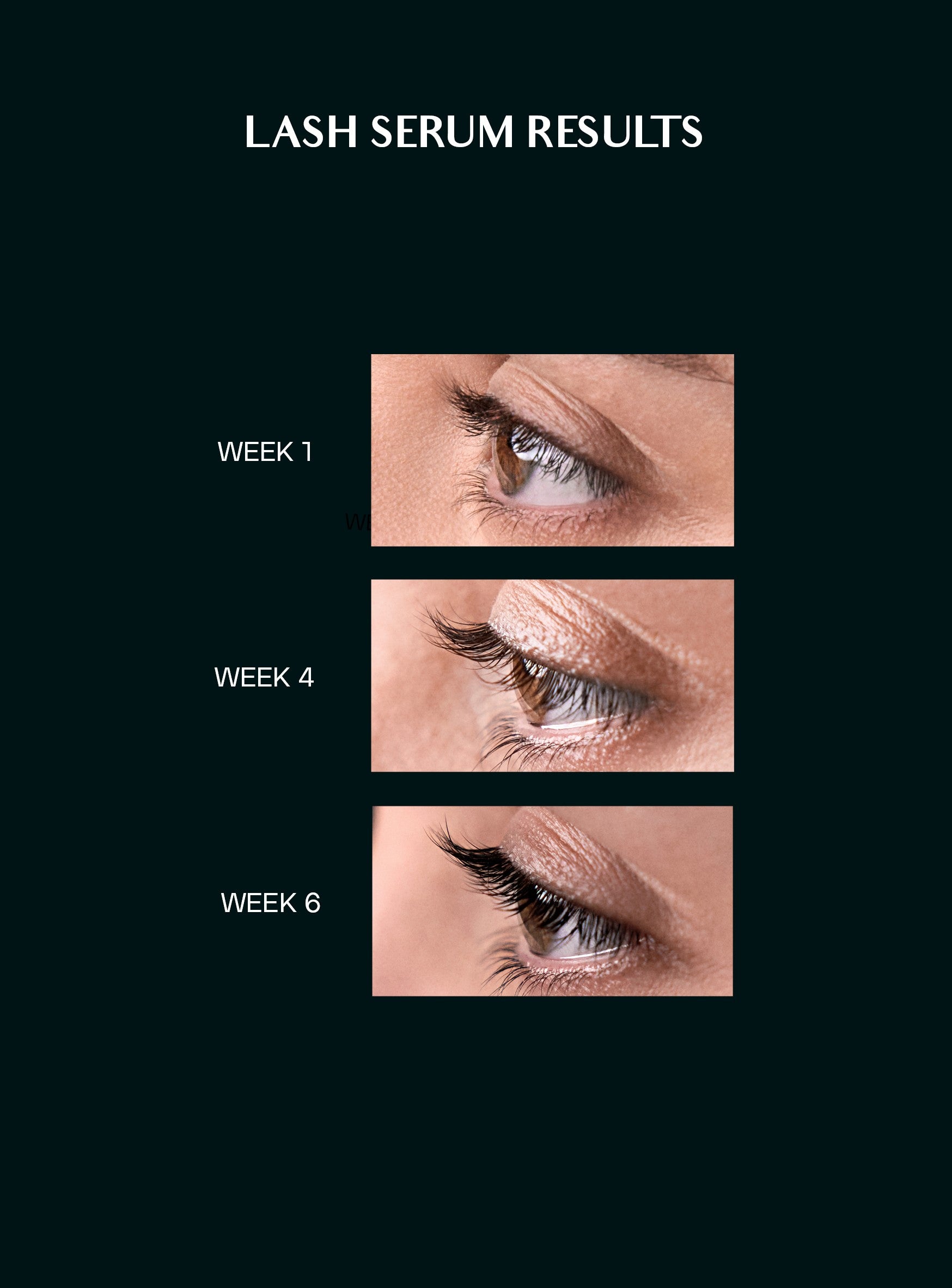 Bring Back The Lash Serum